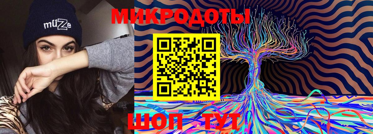 Заволжье  Галлюциногенные грибы Magic Shrooms  Вход с VPN 